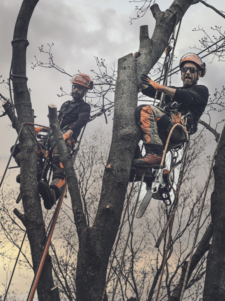 Baumpflege Team Grevenbroich Über Uns